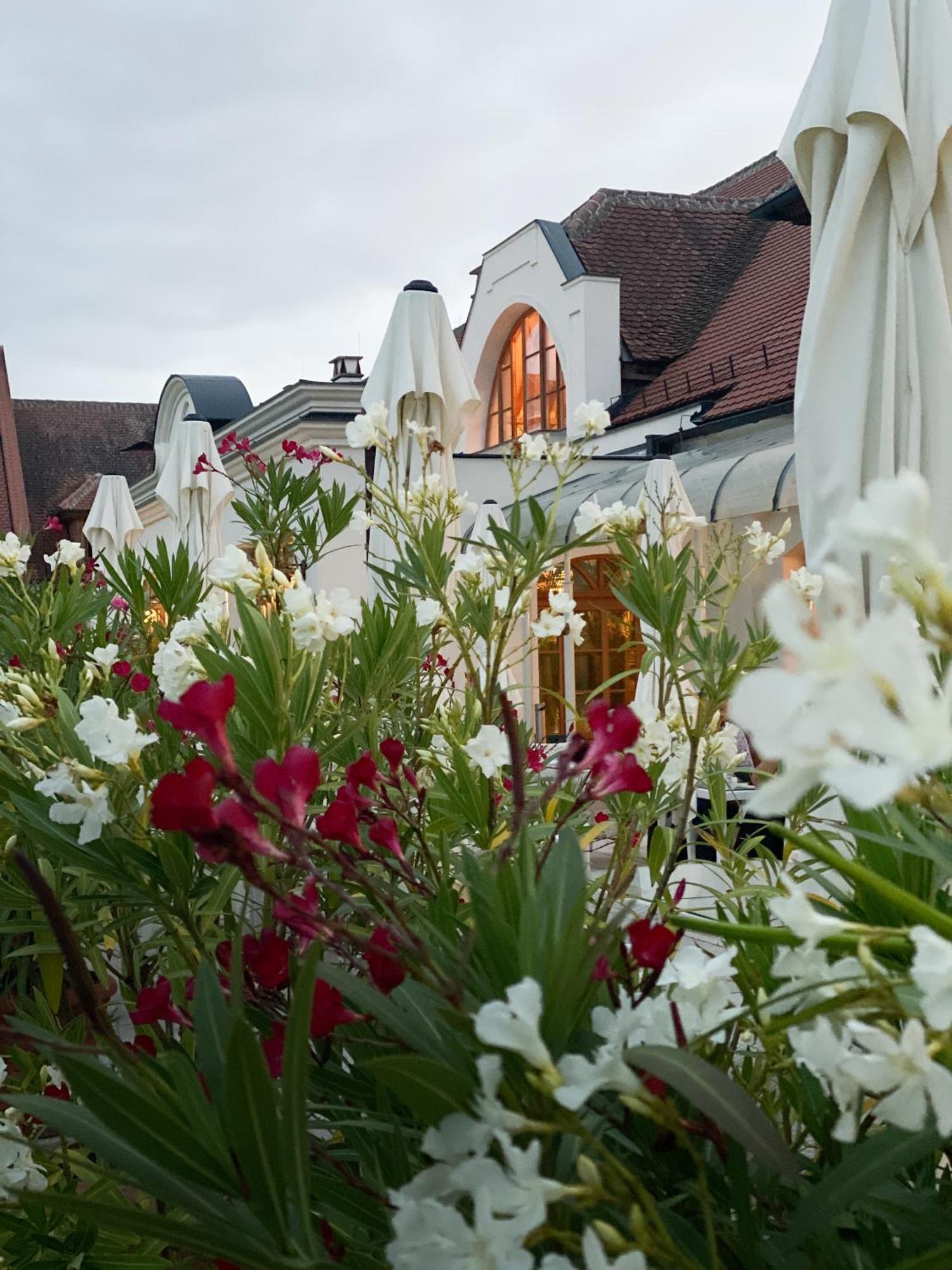 Schloss Thalheim ซังคท์เพิลเทน ภายนอก รูปภาพ